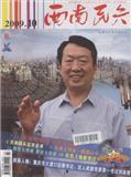 西南民兵（停刊）