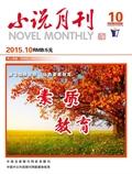 小说月刊（下半月）（教育版）（现《小说月刊》（综合））