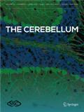 CEREBELLUM《小脑》