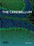 CEREBELLUM《小脑》