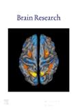 BRAIN RESEARCH《大脑研究》