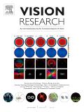 Vision Research《视觉研究》