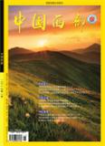 中国西部（学术版）（停刊）