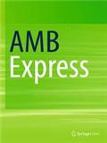 AMB Express《AMB快报》
