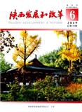 陕西发展和改革（内刊）