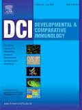 DEVELOPMENTAL AND COMPARATIVE IMMUNOLOGY《发育与比较免疫学》