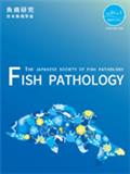 FISH PATHOLOGY《鱼类病理学》