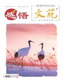 文苑·感悟（上半月）（停刊）