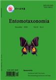 昆虫分类学报（英文版）（Entomotaxonomia）（原：昆虫分类学报）