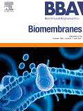 BIOCHIMICA ET BIOPHYSICA ACTA-BIOMEMBRANES《生物化学与生物物理学报：生物膜》