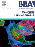 BIOCHIMICA ET BIOPHYSICA ACTA-MOLECULAR BASIS OF DISEASE《生物化学与生物物理学报：疾病的分子基础》