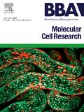 BIOCHIMICA ET BIOPHYSICA ACTA-MOLECULAR CELL RESEARCH《生物化学与生物物理学报：分子细胞研究》