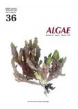 Algae《藻类》