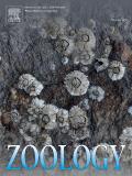 ZOOLOGY《动物学》（德国）