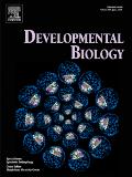 DEVELOPMENTAL BIOLOGY《发育生物学》