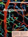 Angiogenesis《血管生成》