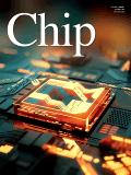 芯片（英文）（Chip）