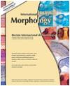 INTERNATIONAL JOURNAL OF MORPHOLOGY《国际形态学杂志》