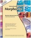 INTERNATIONAL JOURNAL OF MORPHOLOGY《国际形态学杂志》
