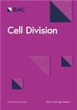 Cell Division《细胞分裂》