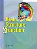 Brain Structure & Function（或：Brain Structure and Function）《脑结构与功能》