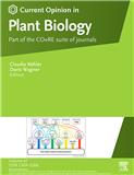 Current Opinion in Plant Biology《当代植物生物学观点》