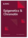 Epigenetics & Chromatin《表观遗传学与染色质》