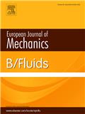 European Journal of Mechanics B/Fluids《欧洲力学杂志B：流体力学》