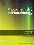 Journal of Photochemistry and Photobiology B-Biology《光化学与光生物学B：生物学》