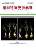 植物遗传资源学报   