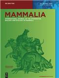 Mammalia《哺乳动物》