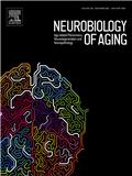 Neurobiology of Aging《衰老神经生物学》