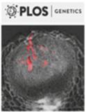 PLOS Genetics《公共科学图书馆-遗传学》