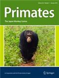 Primates《灵长目》