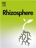 Rhizosphere《根际》