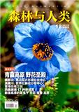 森林与人类