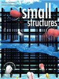 Small Structures《微尺度：结构》