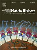 Matrix Biology《基质生物学》