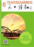 天下诗歌（内刊）