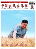 中国农民合作社（不收版面费审稿费）