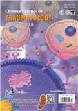 中华创伤杂志（英文版）（Chinese Journal of Traumatology）