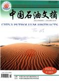 深地能源科技（原：中国石油文摘）