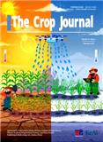 作物学报（英文版）（The Crop Journal）