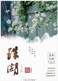 珠湖（文学内刊）