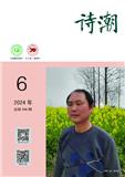 诗潮