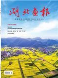 湖北画报（时政）