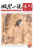 微型小说选刊