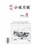 微型小说月报（原：通俗小说报）