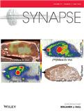 Synapse《突触》