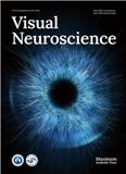 Visual Neuroscience《视觉神经科学》